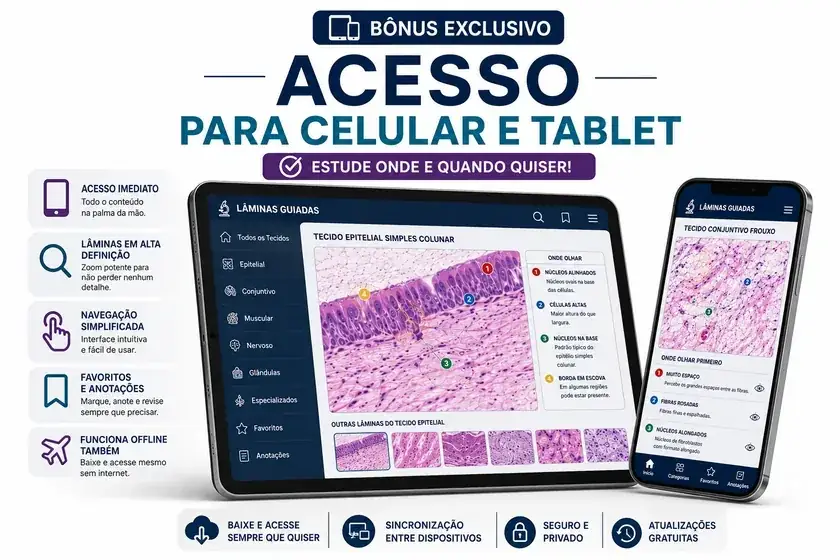 Acesso para Celular e Tablet — estude onde e quando quiser