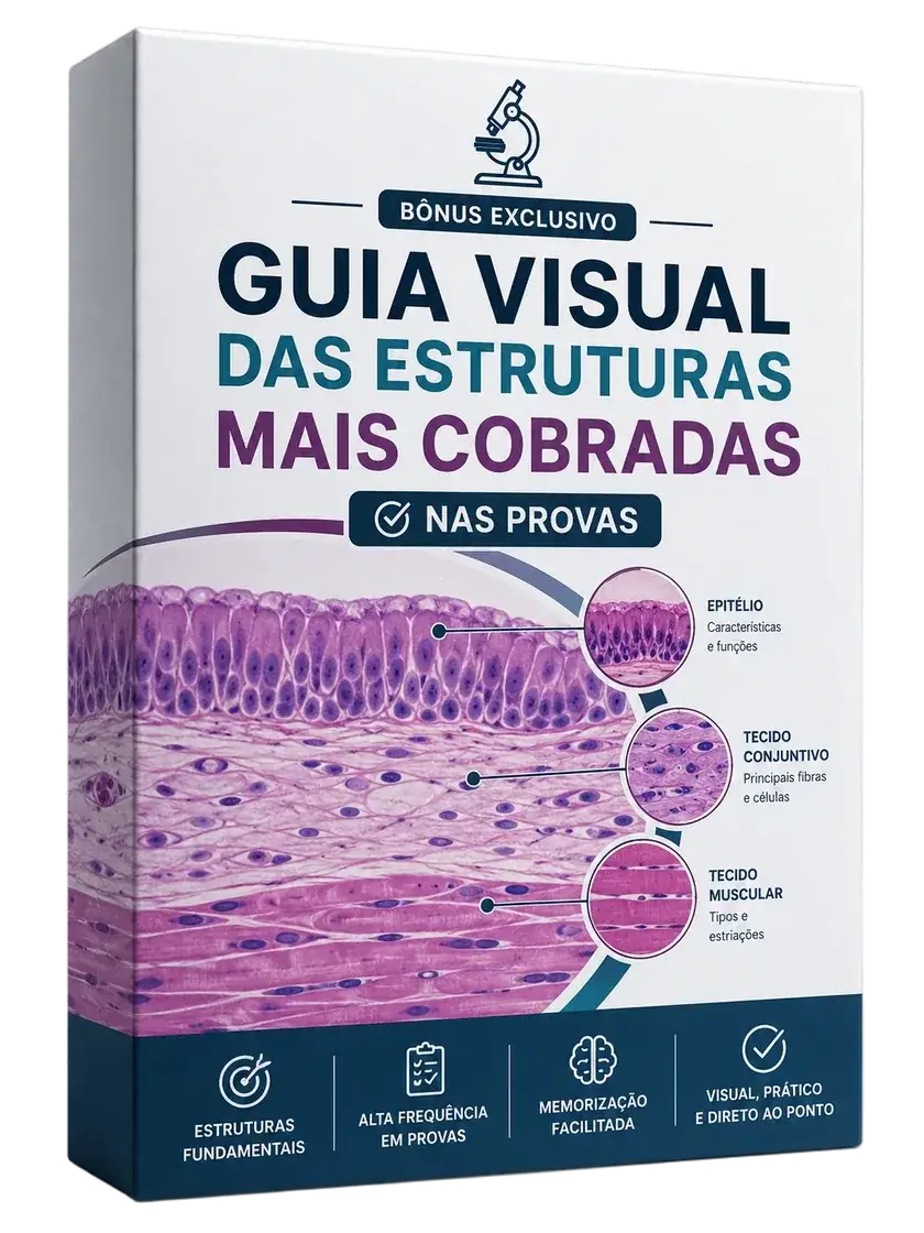 Guia Visual das Estruturas Mais Cobradas nas Provas